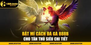 Bật mí cách đá gà 888b cho tân thủ siêu chi tiết mới 2024