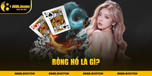 Rồng Hổ là gì?